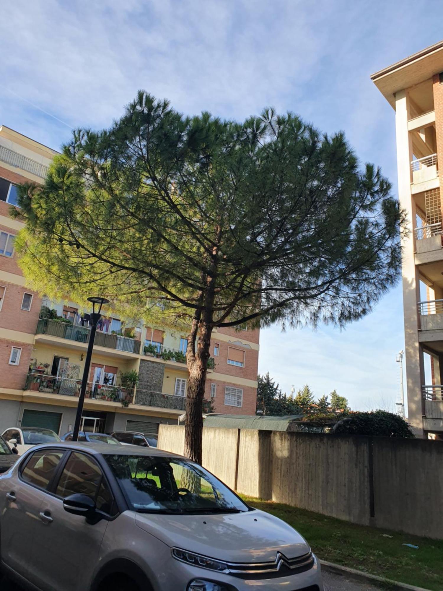 Appartamento Di Delfina Pescara Exterior photo